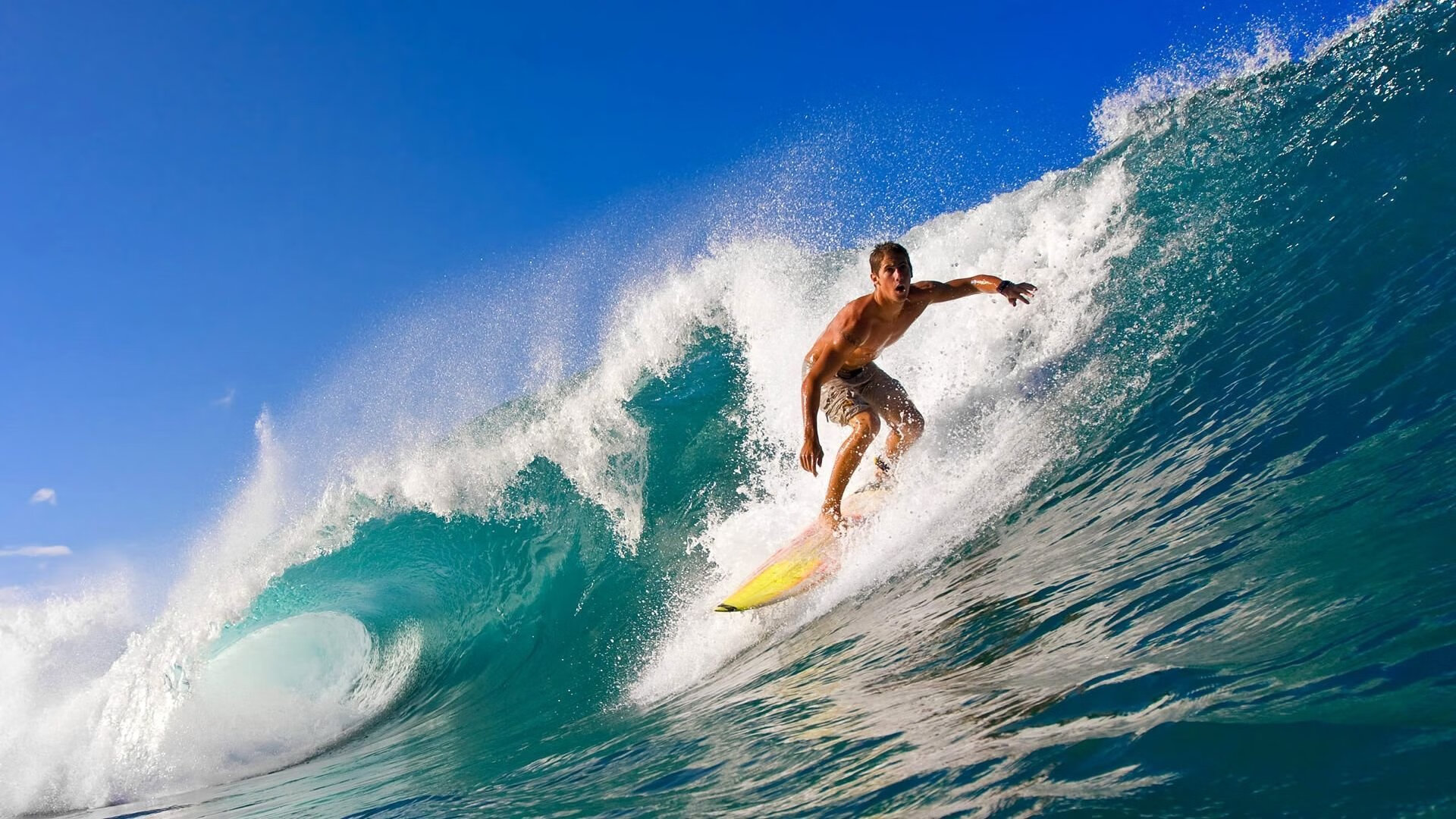 开云体育下载-2026世界杯焦点战，几内亚硬仗取胜丹麦，非洲新势力崛起